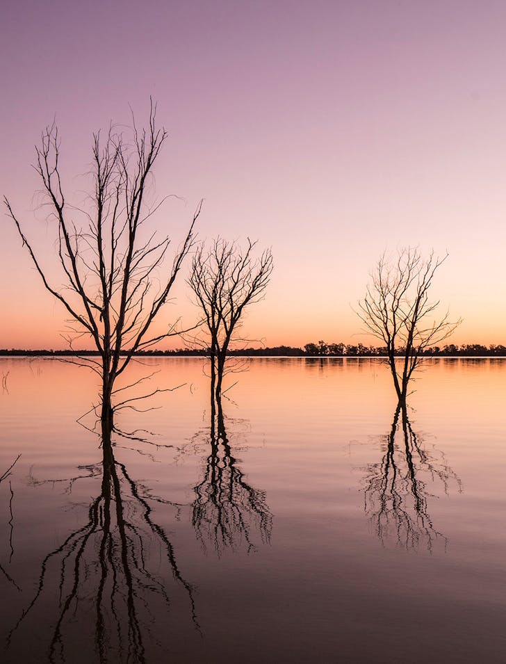 yanga lake at sunset